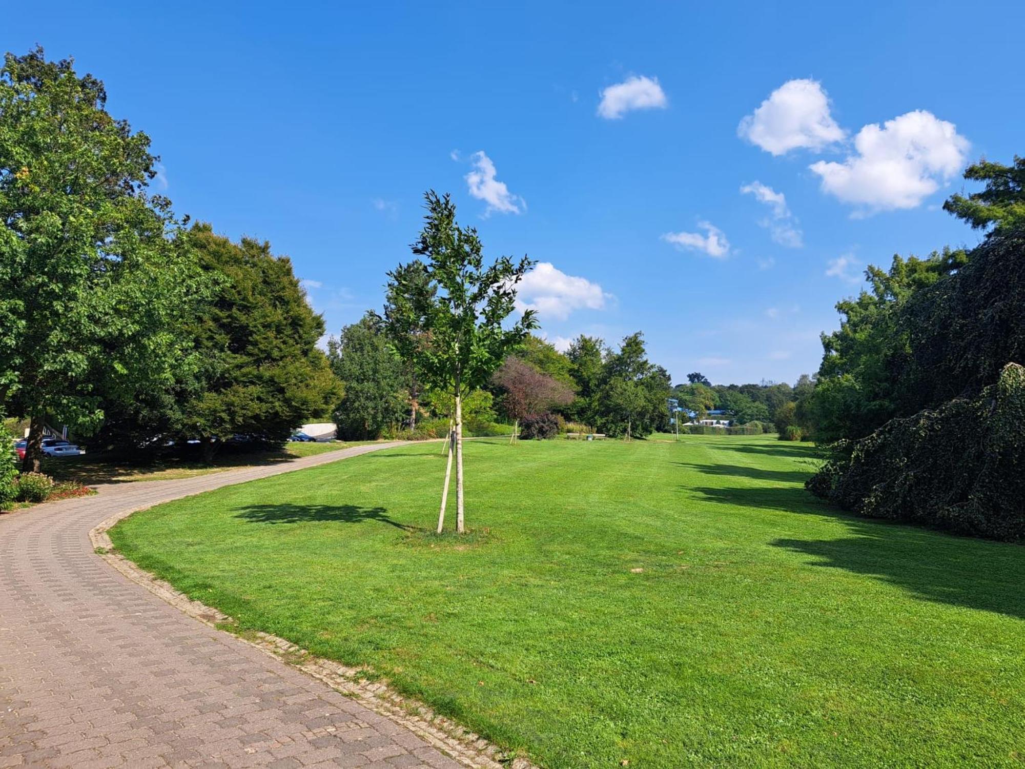 Ruhiges Am Kurpark In Bester Wohnlage *